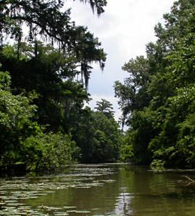 Canal Island: 2 Days/ 1 Night | Alabama State Lands Canoe Trails